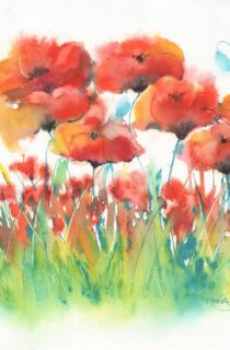 Poppies I    *SOLD*