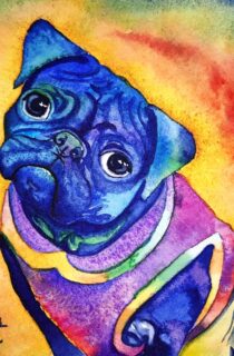 Pug Negro    *SOLD*